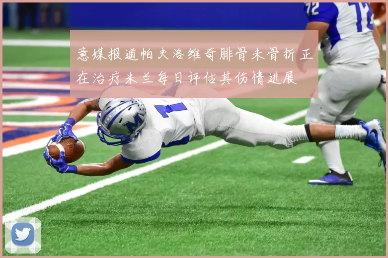 意媒报道帕夫洛维奇腓骨未骨折正在治疗米兰每日评估其伤情进展