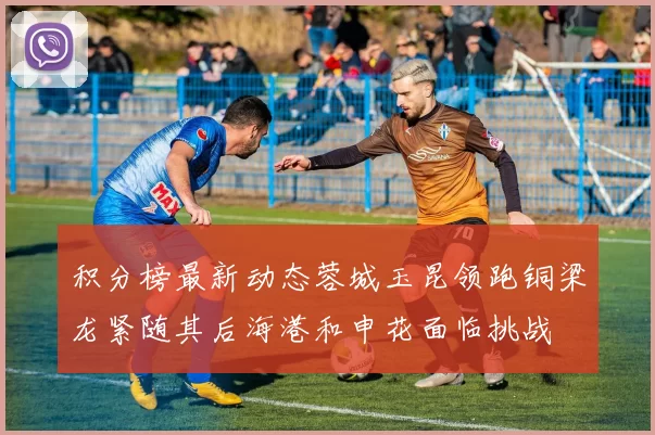 积分榜最新动态蓉城玉昆领跑铜梁龙紧随其后海港和申花面临挑战